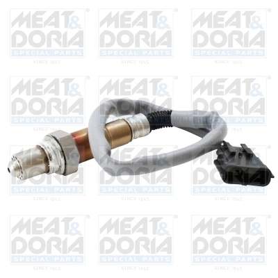 Oxygen Sensor